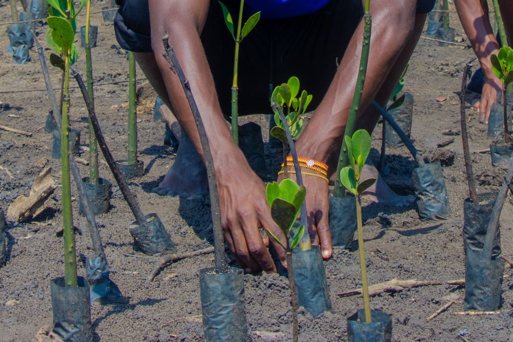 bagamoyo (151 of 162)