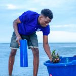 Seagrass seed collection