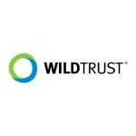A9