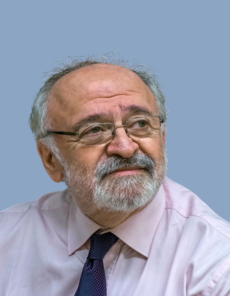 Prof. Dr. Ioannis Tsipouridis